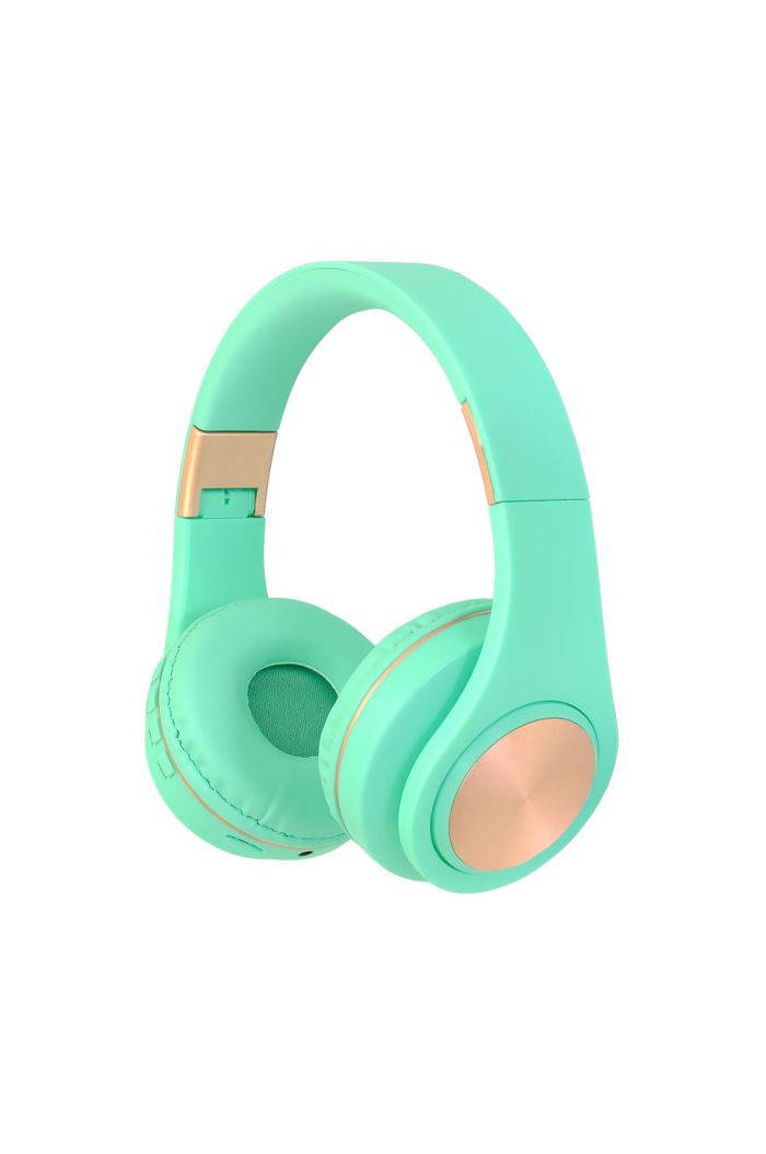 Frisby Bluetooth Kulaklık