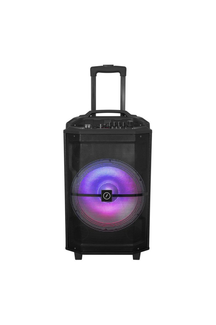 Frisby Taşınabilir Aktif Ses Sistemi (12" Bas)